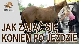 Jak zająć się koniem po jeździe