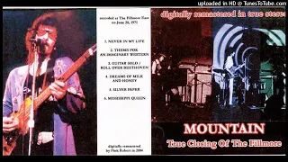 02 - MOUNTAIN - Theme For An Imaginary Western (Live)