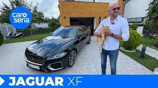 Jaguar XF: A cat in the hand is worth two Germans in the bush! (4K REVIEW) | CaroSeria