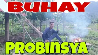 SUBUKAN ko dito/Buhay Bukid/Buhay Probinsya