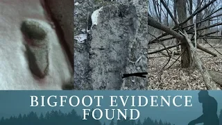 BIGFOOT EVIDENCE FOUND - Multiple Trackways Discovered - Strange Structures - MBM 121