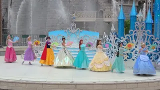 The Starlit Princess Waltz