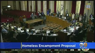 New Proposal To Look Into Banning Homeless Encampments In Certain Parts Of Los Angeles