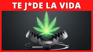 ✅🧠 VENTAJAS de Dejar la MARIHUANA ❌🌿 (para siempre)【Cómo Dejar los Porros】