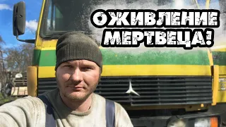 Запуск старого Mercedes 814 после 5-летнего простоя! Оживление мертвеца! Нужен свой автосервис!