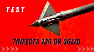 TRIFECTA 1.25" 125 gr Solid Single Bevel Broadhead Test: Best Fixed Blade Score to Date