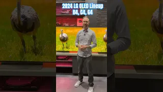 2024 LG OLED Comparison: B4 vs C4 vs G4