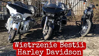 Remont garażu, wietrzenie bestii Harley Davidson 🏍🏍🏍