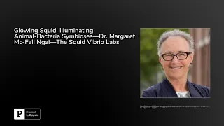 Glowing Squid: Illuminating Animal-Bacteria Symbioses—Dr. Margaret Mc-Fall Ngai—The Squid Vibrio ...