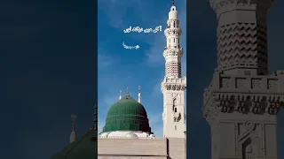Ya Rab e Mustafa -Hoor Ul Ain Siddiqui | New Hajj Kalaam