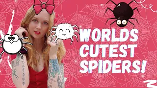 Rehousing the worlds CUTEST Spiders and some ADORABLE Orchid mantis! Ft. VELVET SPIDER!!!