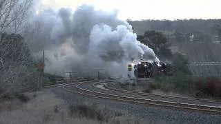 Australian Steam Trains: 4 Steam trains parallel side by side