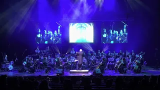 (4K) The Magical Music Of Harry Potter Live in Concert - "A Window to the Past"