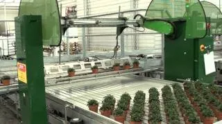 Automated Bench System, Kwekerij Chris Endhoven.mpg