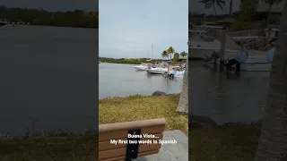 black point marina Miami/Homestead Florida - Buena Vista