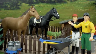 Farm Animals by Bibo | Bibo play with Toy Cars