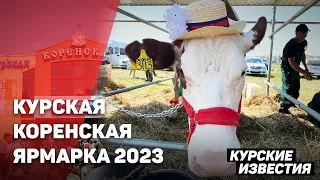 Курская Коренская ярмарка-2023 за полторы минуты
