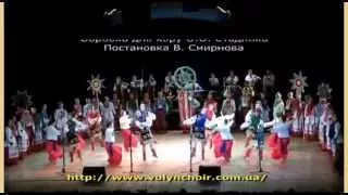 Volyn State Academic Folk Choir. Metelytsya