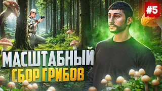 ПУТЬ БОМЖА НА MAJESTIC RP #5 ГРИБНАЯ ОХОТА В GTA 5 RP