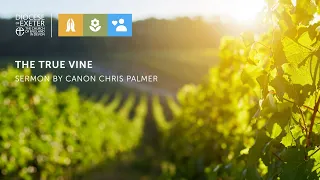 Sermon for the 5th Sunday of Easter - The True Vine | Canon Chris Palmer