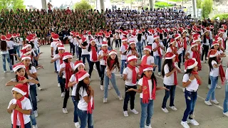 BAILE DE NAVIDAD EL PORTAL DE BELÉN COLEGIO LA PRESENTACIÓN 🎄🎅