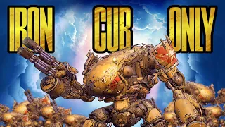 Can You Beat Borderlands 3 with Only Iron Cub?