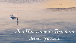 Лев Николаевич Толстой «Лебеди» (рассказ)