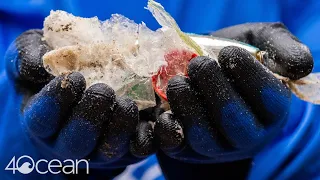 Flagler Memorial Island Cleanup