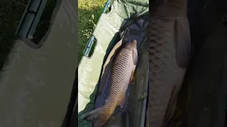 Скоро нове відео на каналі    #fishing #рибалка #fish