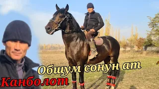 вопщум ат СОНУН  ДЕДИ  Канболот