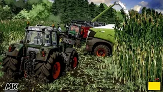 Maize 🌽 Silage Harvest In EXTREME MUD !  Every Tractor Get Stuck - Farming simulator 24