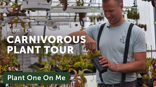 CARNIVOROUS PLANT Greenhouse Tour — Ep. 245