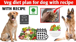 Veg diet plan for dog with Recipe | hindi | puppy veg diet plan