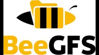 BeeGFS, Paralel File System, Online Workshop Studia FAMU & Agora Plus, 2021