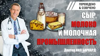 Молоко, сыр и молочная промышленность. Доктор Нил Барнард