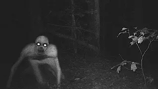 TERRIFYING Creatures Caught On Camera