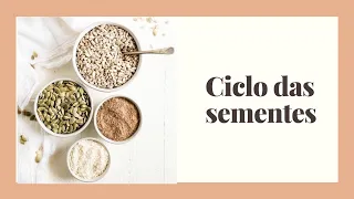 Ciclo das sementes: Aprenda a equilibrar seus hormônios de forma natural