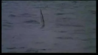 CRUEL JAWS (1995) Trailer