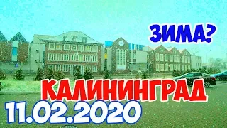 Калининград 11.02.20 погода -зима пришла, опять!