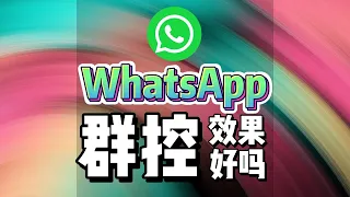 whatsapp群控效果好还是协议的效果好呢？/ whatsapp996.com