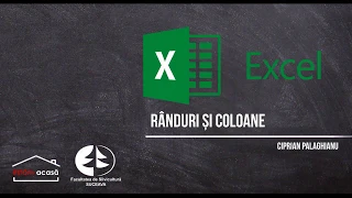 Excel2 Randuri si coloane