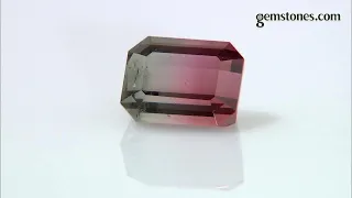 LIVE Gem Discoveries by gemstones.com