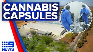 Accessible medicinal cannabis sleep capsules could be a reality for Aussies | 9 News Australia
