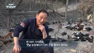 [34회] 오리인 듯 오리 아닌 기러기로 연 2억! '경북 경산시 손영구 부자농부'