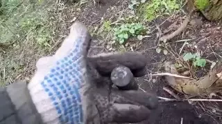 Поиск монет металлоискателем , Лесной коп   Апрель 2016 г