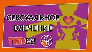 🔶 Сексуальное влечение [TED-Ed на русском]