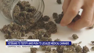 Veterans to testify amid push to legalize medical cannabis