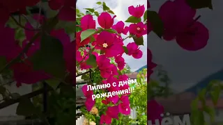 Лилия с днём Рождения!!!