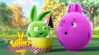 Las Aventuras de Sunny Bunnies | MARATÓN DE FIN DE SEMANA | Dibujos para niños