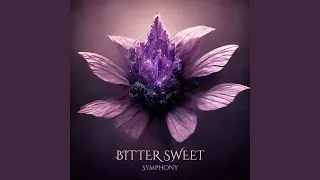 Bitter Sweet Symphony (Instrumental)